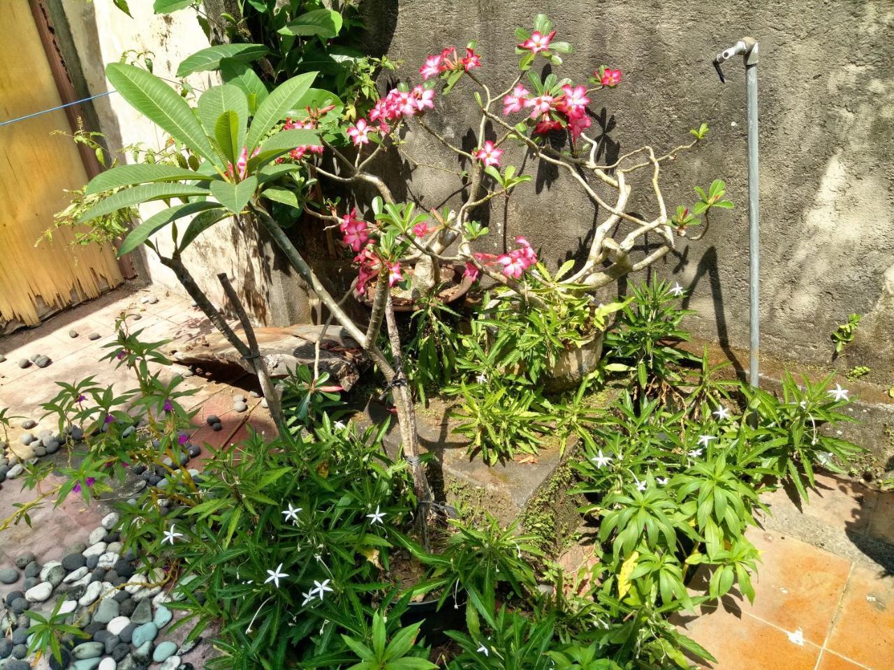 Suandi House Panzió Ubud Kültér fotó